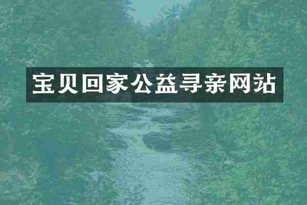 宝贝回家公益寻亲网站