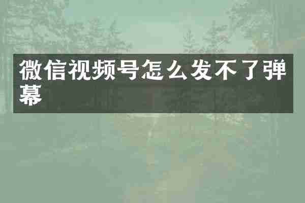 微信视频号怎么发不了弹幕