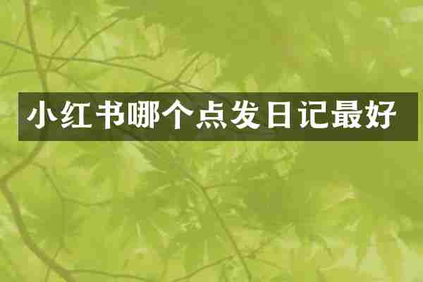 小红书哪个点发日记最好