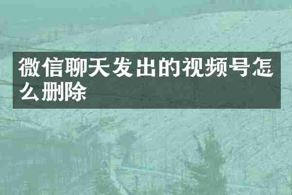 微信聊天发出的视频号怎么删除