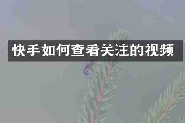 快手如何查看关注的视频