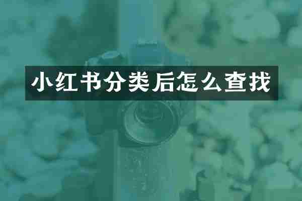小红书分类后怎么查找