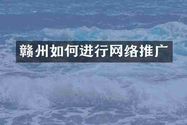 赣州如何进行网络推广