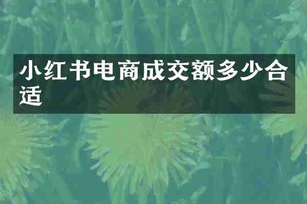 小红书电商成交额多少合适