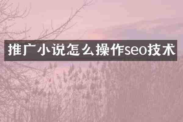 推广小说怎么操作seo技术