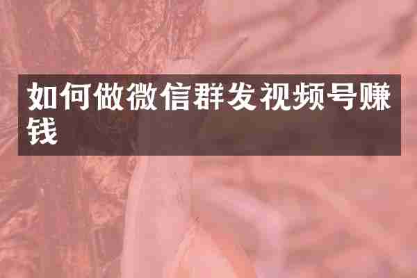 如何做微信群发视频号赚钱