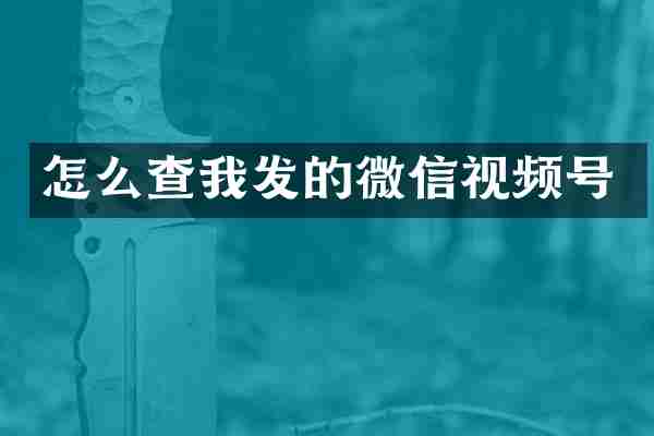 怎么查我发的微信视频号