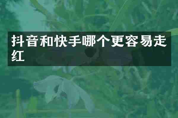 抖音和快手哪个更容易走红