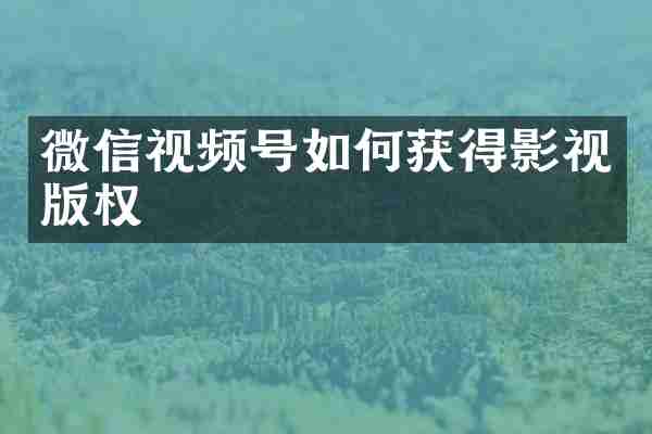 微信视频号如何获得影视版权