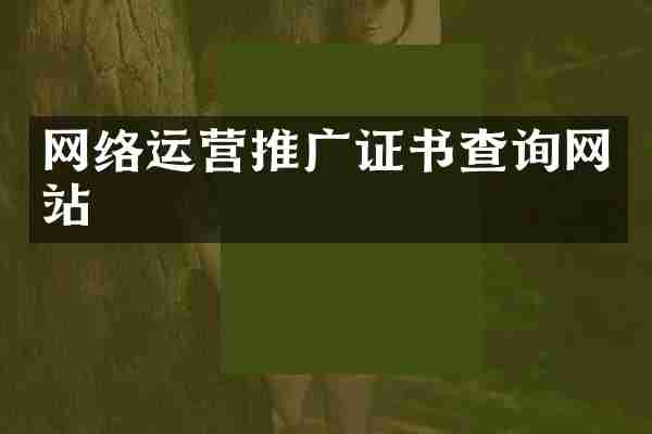 网络运营推广证书查询网站