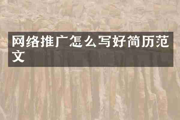 网络推广怎么写好简历范文