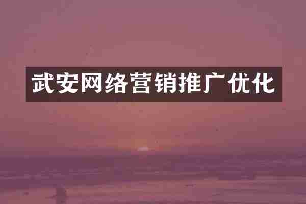 武安网络营销推广优化