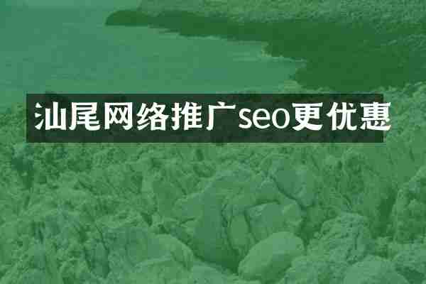 汕尾网络推广seo更优惠