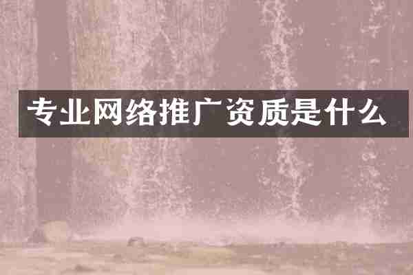 专业网络推广资质是什么