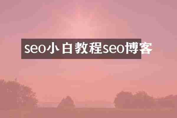 seo小白教程seo博客