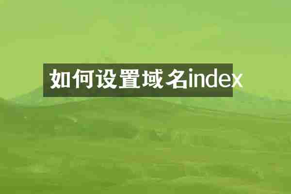如何设置域名index