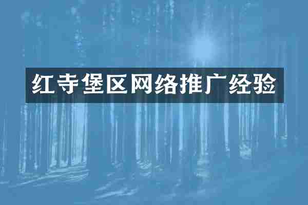 红寺堡区网络推广经验