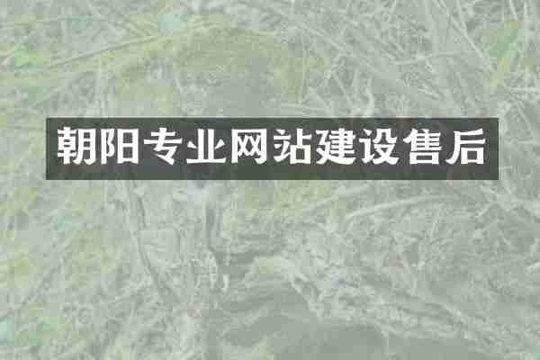 朝阳专业网站建设售后