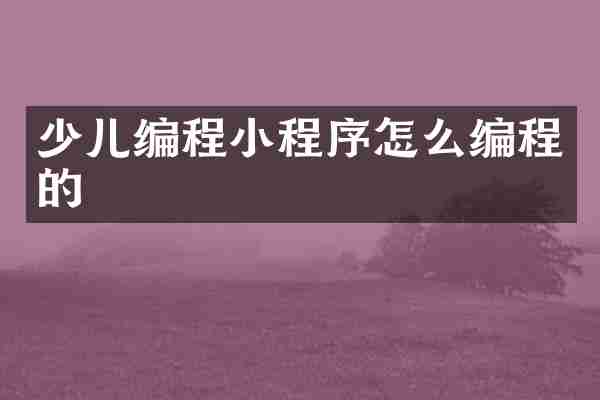 少儿编程小程序怎么编程的