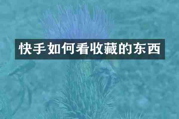 快手如何看收藏的东西