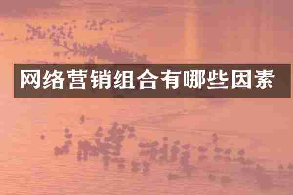 网络营销组合有哪些因素