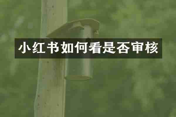 小红书如何看是否审核
