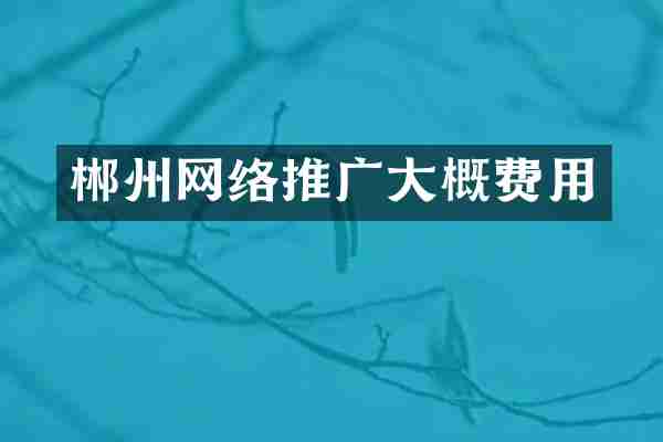 郴州网络推广大概费用