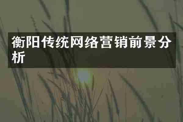 衡阳传统网络营销前景分析