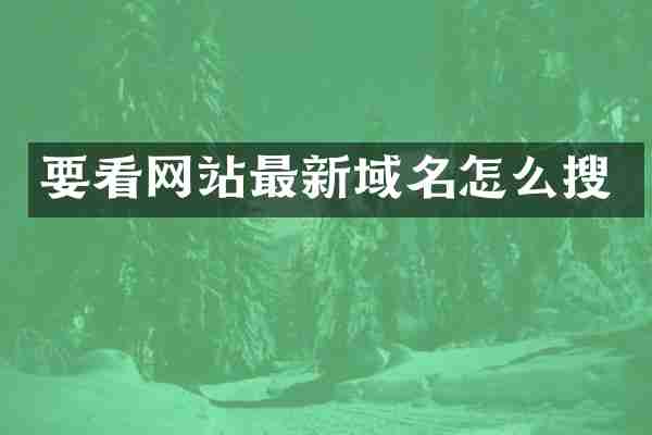 要看网站最新域名怎么搜
