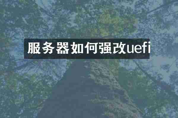 服务器如何强改uefi