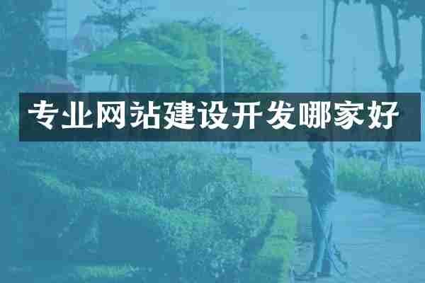 专业网站建设开发哪家好