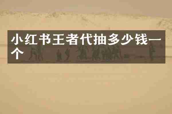 小红书王者代抽多少钱一个