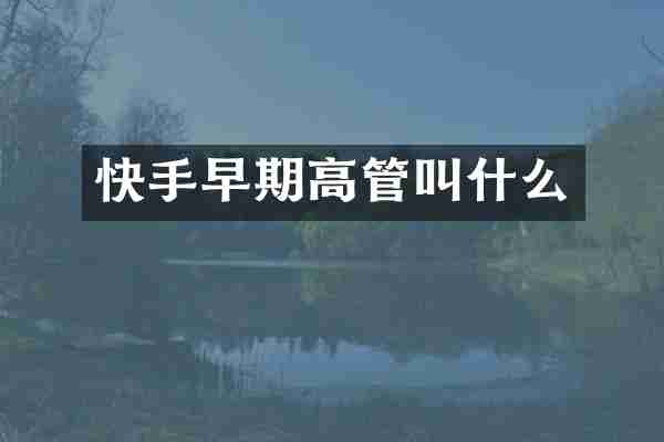 快手早期高管叫什么