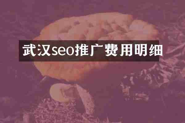 武汉seo推广费用明细