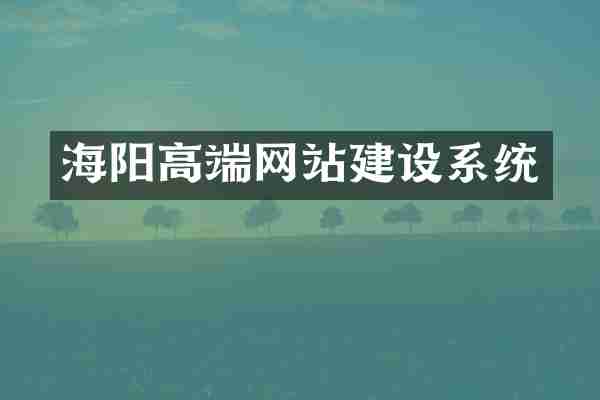 海阳高端网站建设系统