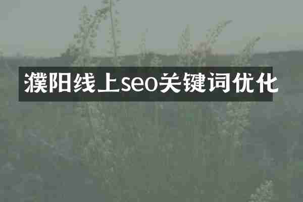 濮阳线上seo关键词优化