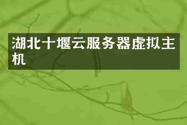 湖北十堰云服务器虚拟主机