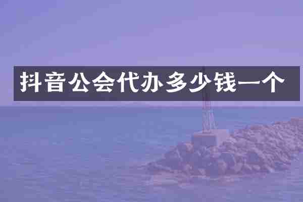 抖音公会代办多少钱一个