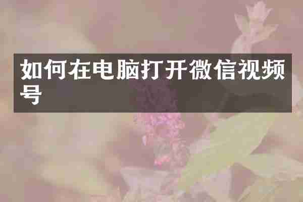 如何在电脑打开微信视频号