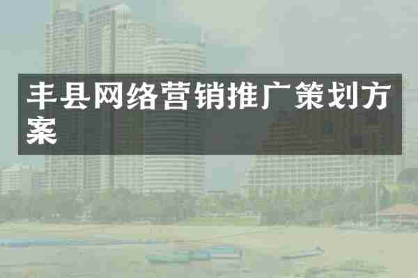 丰县网络营销推广策划方案