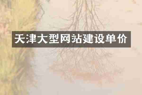 天津大型网站建设单价