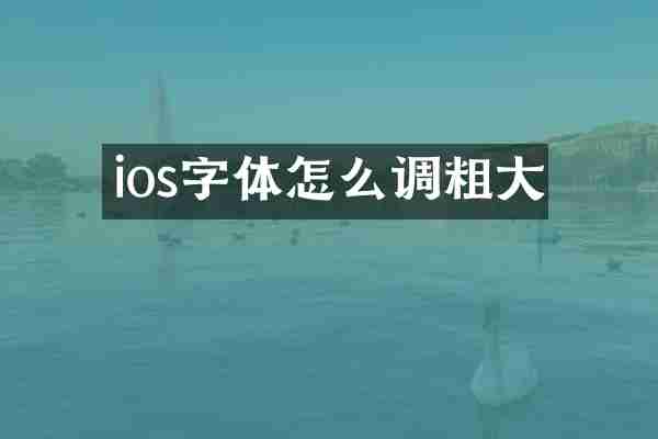 ios字体怎么调粗大