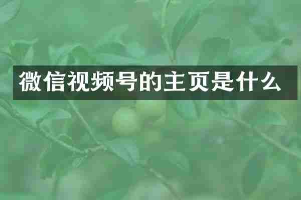 微信视频号的主页是什么
