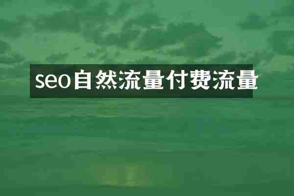 seo自然流量付费流量