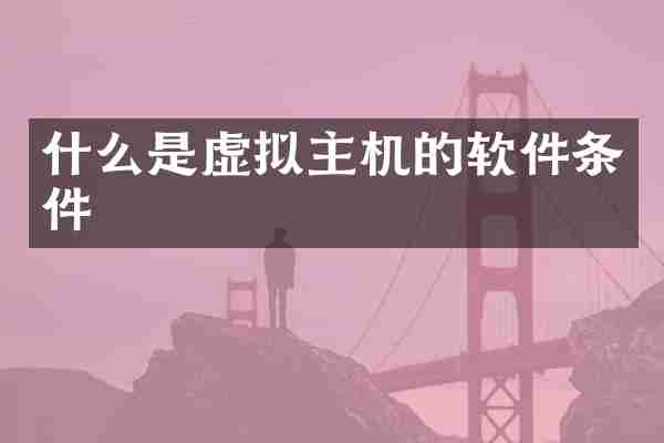 什么是虚拟主机的软件条件