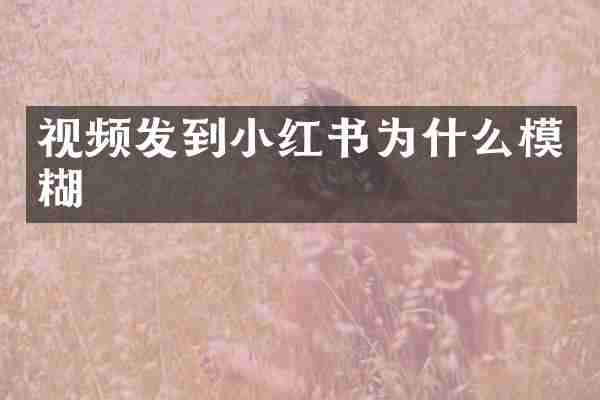 视频发到小红书为什么模糊