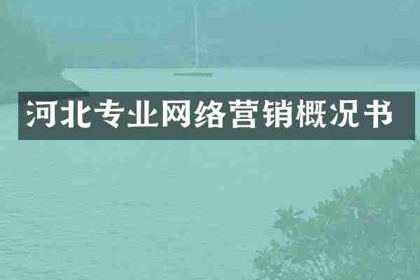 河北专业网络营销概况书
