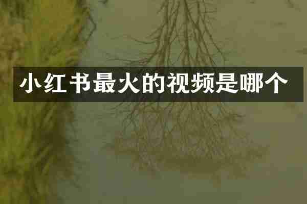 小红书最火的视频是哪个