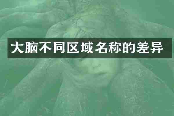 大脑不同区域名称的差异