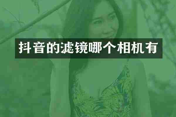 抖音的滤镜哪个相机有